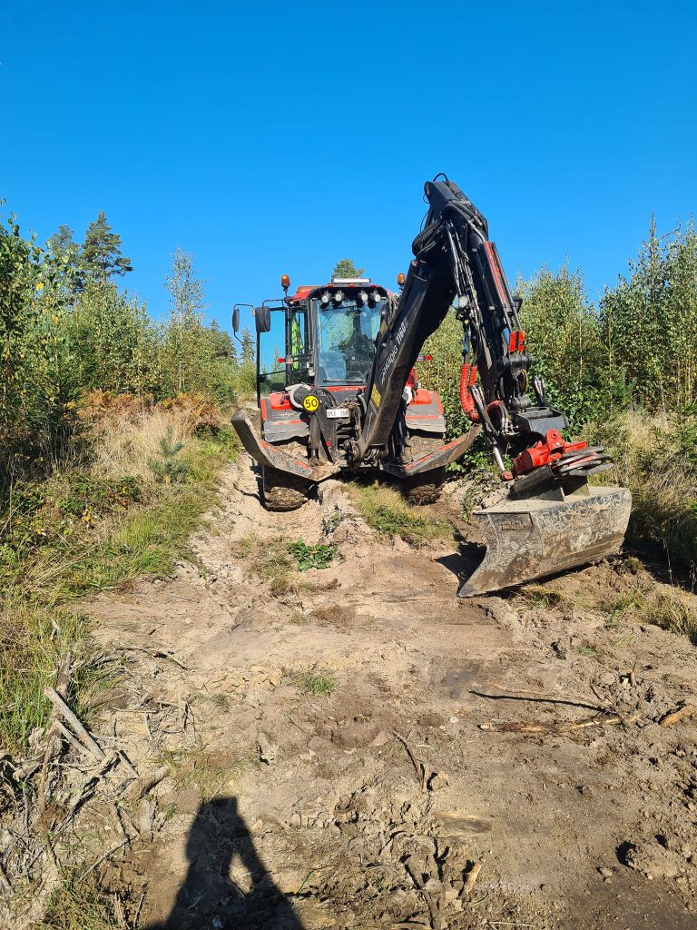 491774749 1192301022900817 5669609810271098764 n